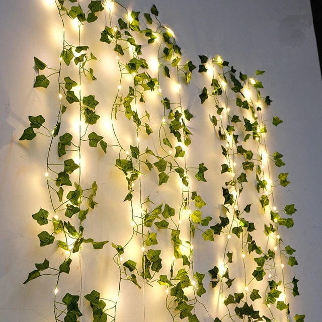 Ivy Lights